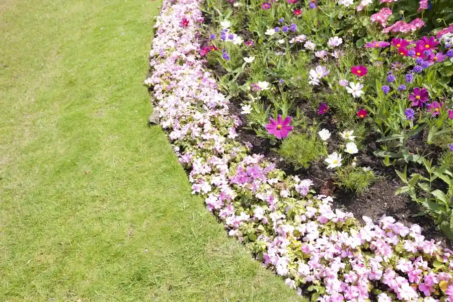 Landscaping Installation